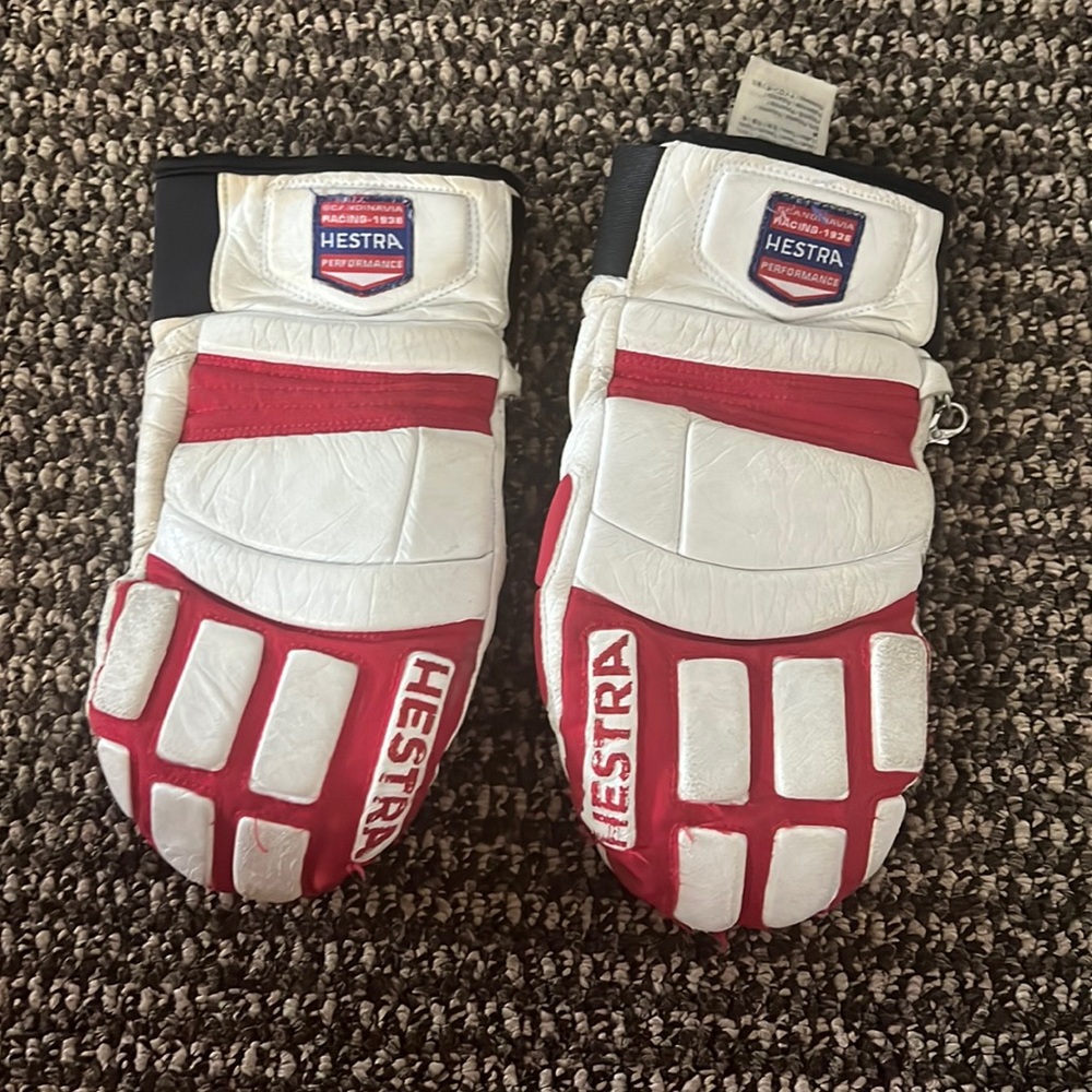 Hestra Ski Mitten